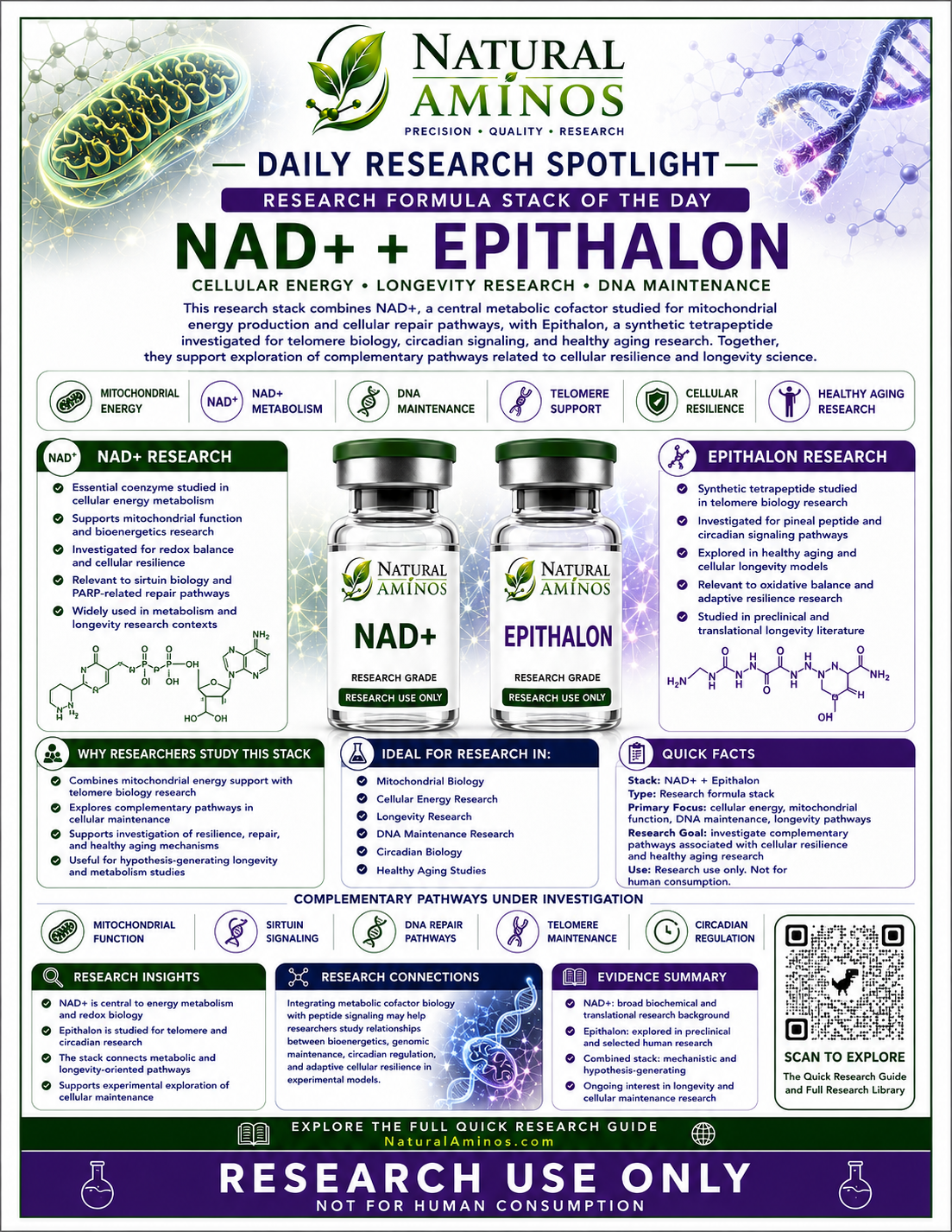 NAD+ + Epithalon research graphic